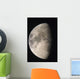 Moon Against The Black Sky Wall Mural