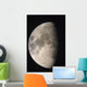 Moon Against The Black Sky Wall Mural