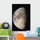 Moon Against The Black Sky Wall Mural