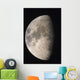Moon Against The Black Sky Wall Mural