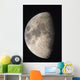 Moon Against The Black Sky Wall Mural