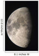 Moon Against The Black Sky Wall Mural