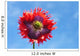 A Colorful Flower With Red And Purple Petals Against A Blue Sky Wall Mural