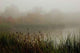 Misty Pond Wall Decal