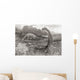 A Group Of Brontosaurs Wall Mural