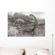A Group Of Brontosaurs Wall Mural