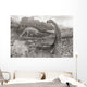 A Group Of Brontosaurs Wall Mural