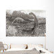 A Group Of Brontosaurs Wall Mural
