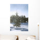 Snowy Flurries Falling In The Sunshine Wall Mural