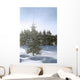 Snowy Flurries Falling In The Sunshine Wall Mural