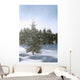 Snowy Flurries Falling In The Sunshine Wall Mural