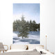 Snowy Flurries Falling In The Sunshine Wall Mural