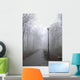 park lane in the fog Wall Mural