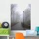park lane in the fog Wall Mural