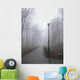 park lane in the fog Wall Mural