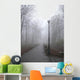 park lane in the fog Wall Mural