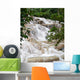Dunn River Falls Wall Mural