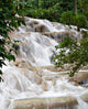 Dunn River Falls Wall Mural