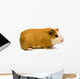 Guinea Pig Wall Decal