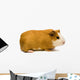 Guinea Pig Wall Decal