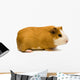 Guinea Pig Wall Decal