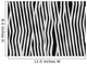 zebra fell fur Wall Mural