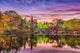 Central Park New York Evening Wall Decal