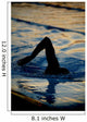 silhouetted swimmer 3 Wall Mural