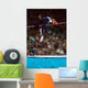 high jumper Wall Mural