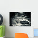 Multiple Waterfall Scene in Black and White Wall Mural