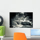 Multiple Waterfall Scene in Black and White Wall Mural