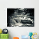 Multiple Waterfall Scene in Black and White Wall Mural