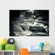 Multiple Waterfall Scene in Black and White Wall Mural