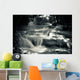 Multiple Waterfall Scene in Black and White Wall Mural