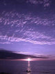 Purple Sunset Wall Decal Design 1