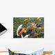 Koi Fish Wall Mural
