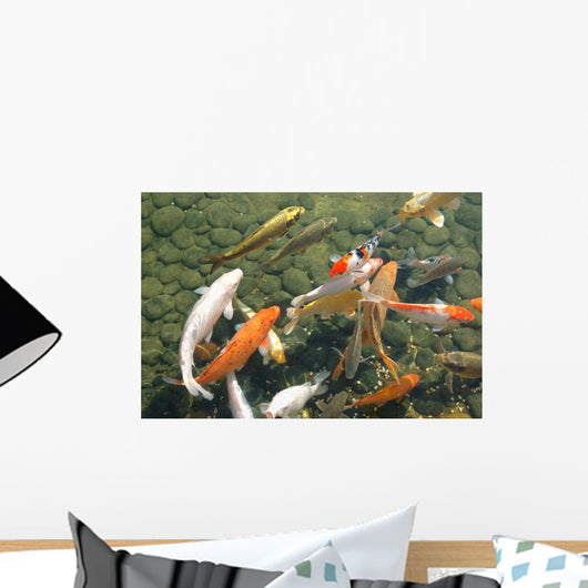 Koi Fish Wall Mural