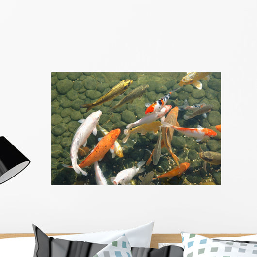 Koi Fish Wall Mural