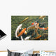 Koi Fish Wall Mural