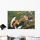 Koi Fish Wall Mural
