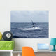 Sailfish Saltwater Sport Fishing Wall Decal