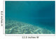 Ripples Sunlight Underwater