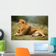 Beautiful Lion Wild Male Animal Portrait Wall Mural
