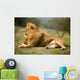 Beautiful Lion Wild Male Animal Portrait Wall Mural