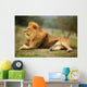 Beautiful Lion Wild Male Animal Portrait Wall Mural