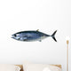 Bluefin Tuna White Thunnus