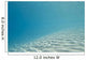 Ripples Sunlight Underwater
