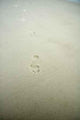 Footprints Sand Wall Decal Design 1