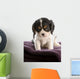 six week old tri color cavalier king charles spaniel puppy Wall Decal
