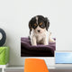 six week old tri color cavalier king charles spaniel puppy Wall Decal